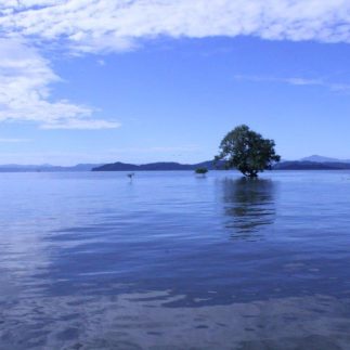 Roadtrip Costa Rica Marcel en Anja Header