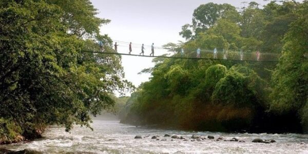 Tirimba Lodge and Rainforest Centre