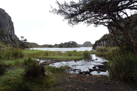 dagen–Ecuadorhoogtepunten