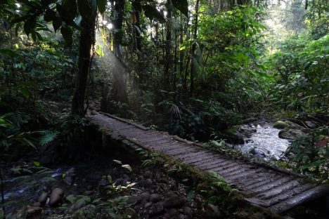 dagen–Ecuadorhoogtepunten