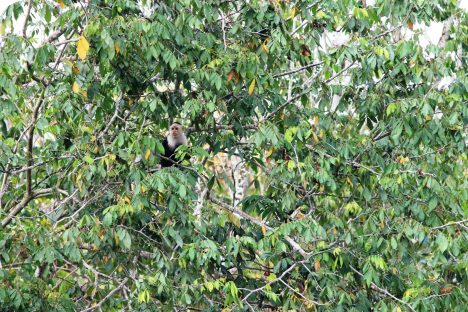 dagen–Nicaraguanatuurreis