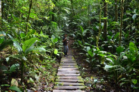 dagen–Nicaraguanatuurreis