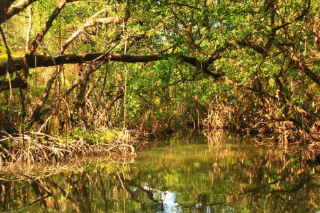 dagen–Nicaraguanatuurreis