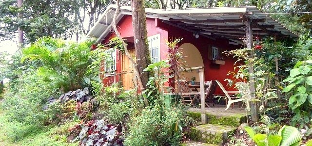 Little Tinamou cottage  Boquete