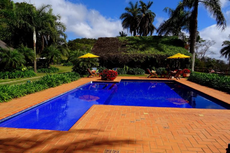 zwembad ecolodge el dorado