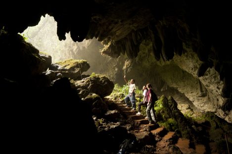 19 dagen – Mexico & Belize vogels & walvishaaien